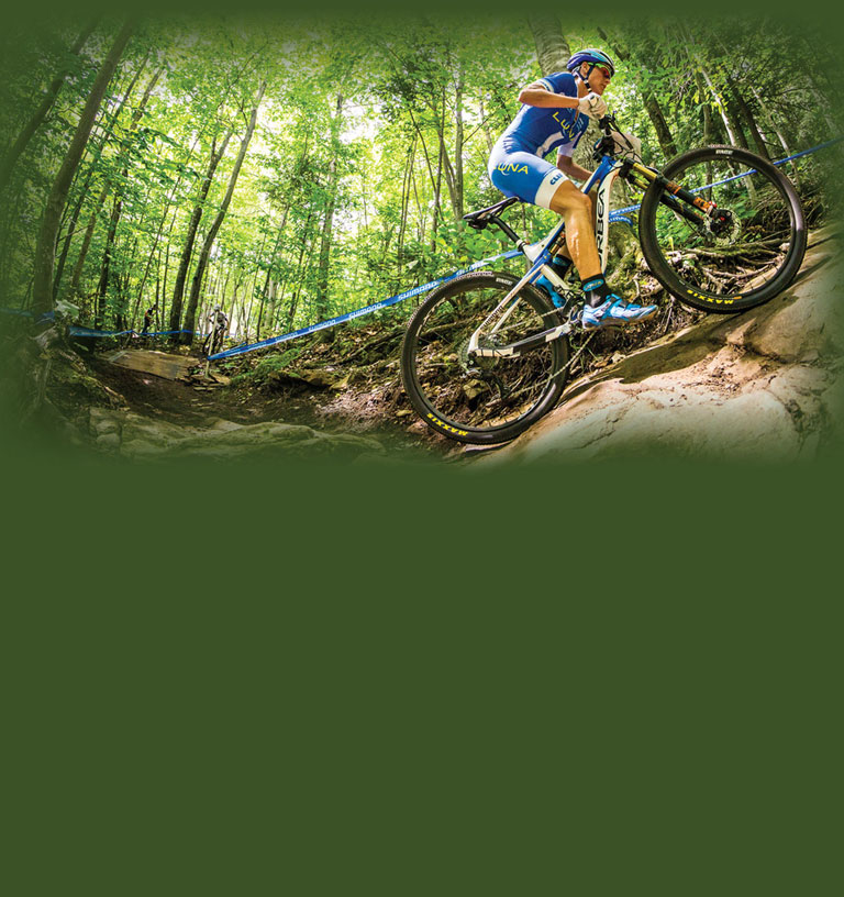 mountain bike usa