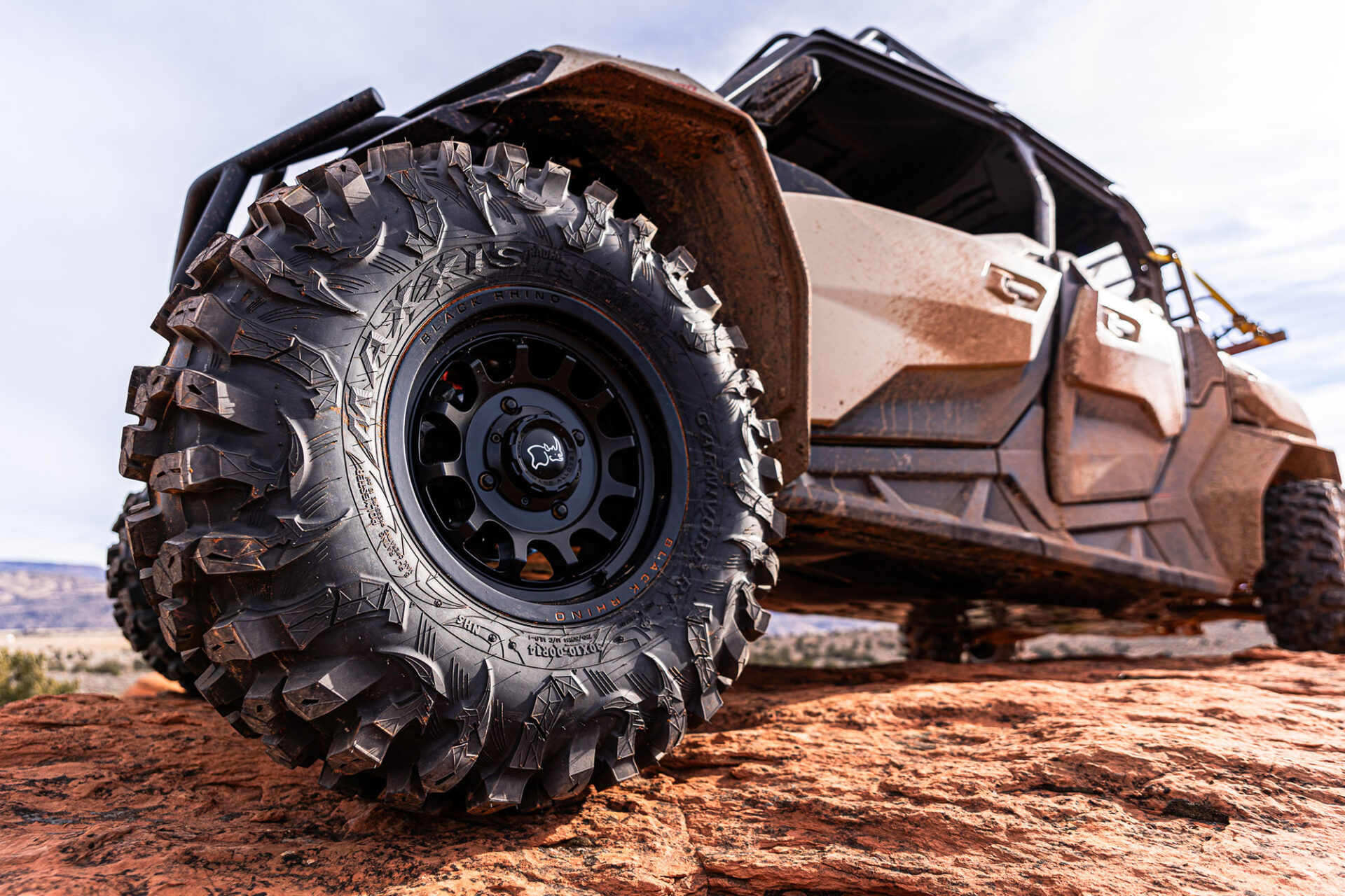 Carnivore RT - MAXXIS International